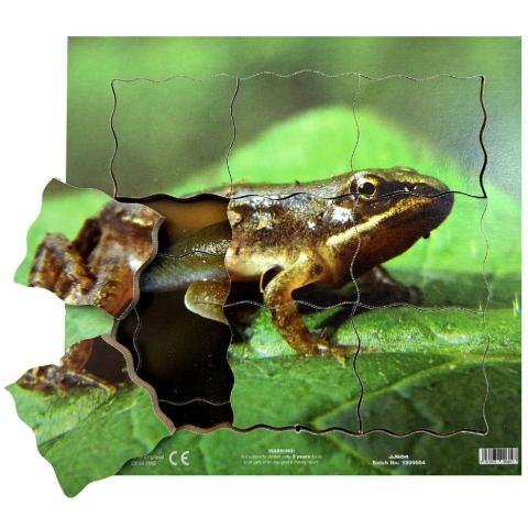 Cyklus - vývoj života žáby (puzzle 19 dílů)